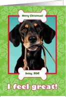 Christmas Cards for my Veterinarian Services from Greeting Card Universe