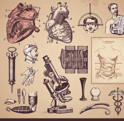 Vintage Medicine elements vector | Medicine illustration, Medical ...