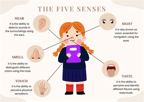 Five Senses Chart For Kindergarten in Illustrator, PDF - Download | Template.net