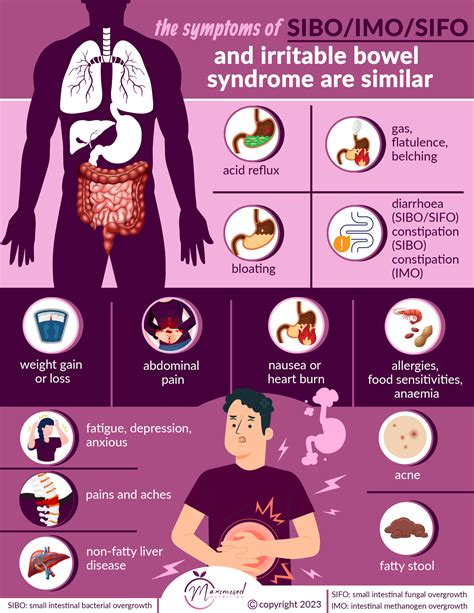 SIBO / IMO/SIFO AS A CAUSE FOR IBS SYMPTOMS - Maximised Nutrition