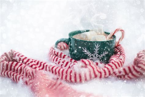 Images Gratuites : neige, hiver, fleur, Coupe, chocolat chaud, aliments ...