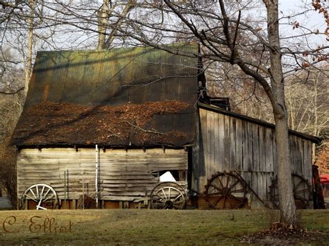 Cumberland City Tennessee | Clarksville TN, Country Roads | Pinterest