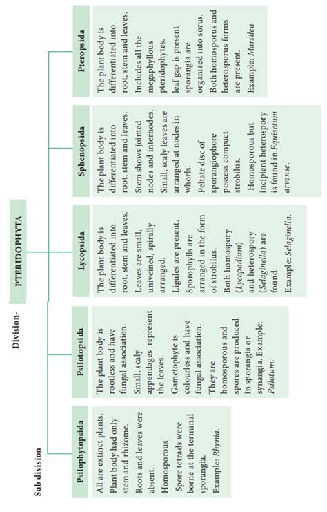 Classification of Pteridophytes