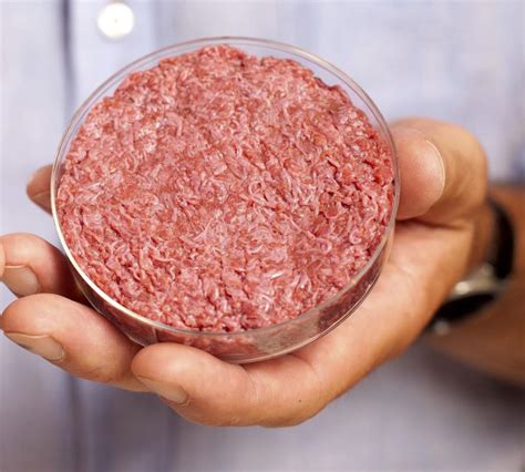 Is Lab-Grown Meat The Future? | yumsome