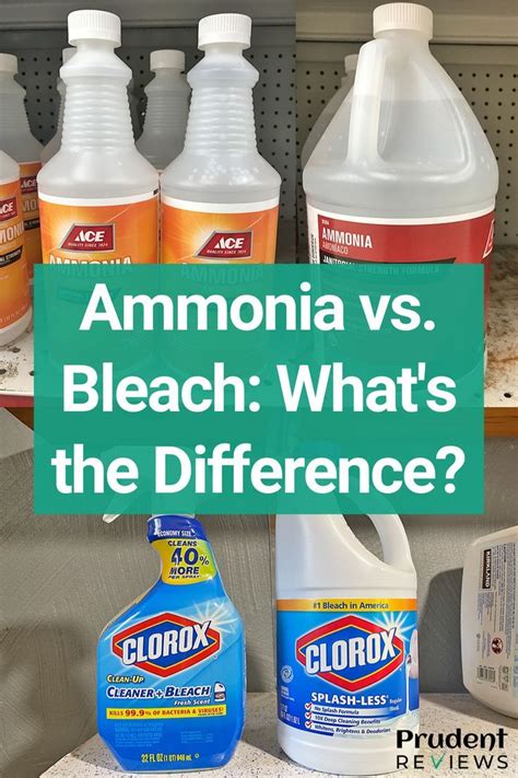 Ammonia vs. Bleach: Uses, Safety, Pros, Cons | Diy cleaning products, Vinegar cleaning, Ammonia ...