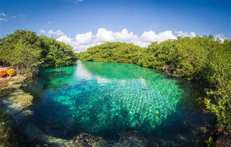 Casa Cenote Diving 2021 Discovering the Mangroves from below - Best Cenote Dives