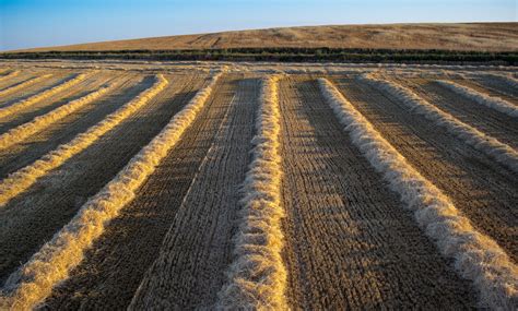 Plow Fields Grooves - Free photo on Pixabay - Pixabay