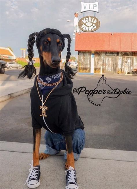 Pepper the Dobie's Halloween Dog Costume as Snoop Dogg in 2015 | Pet ...