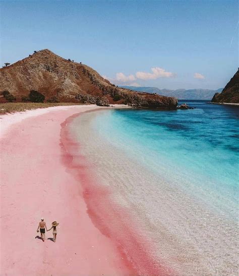 Pink Beach, Komodo National Park, Flores Island, Indonesia | Foto ...