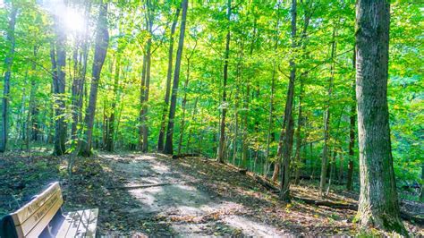 Blandford Nature Center in Grand Rapids, Michigan | Outdoor Fun