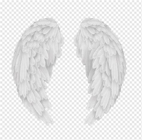 Michael Cherub Guardian angel, angel, wings, monochrome, raphael png | PNGWing