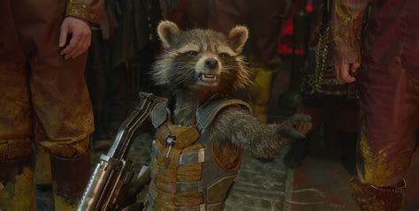 Rocket Raccoon - Guardians of the Galaxy Photo (37406070) - Fanpop