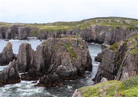 Newfoundland Trip (Part One) - Twillingate, Bonavista, Trinity