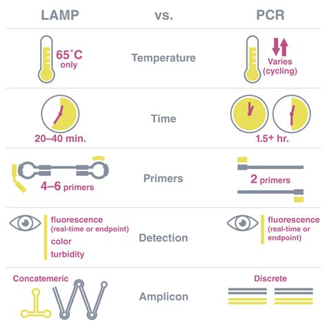 Getting started with loop-mediated isothermal amplification (LAMP) | NEB