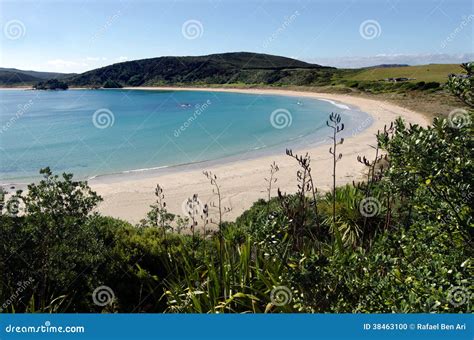 Karikari Peninsula - New Zealand Stock Photo - Image of destination ...