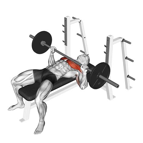 Flat Bench Press Muscles