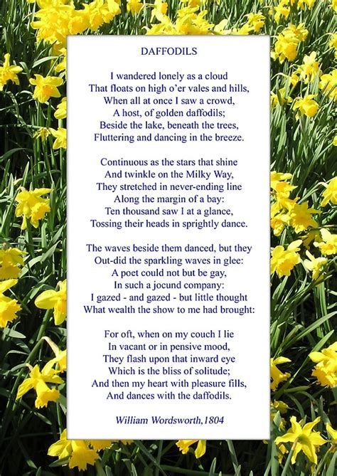 "Wordsworth's "Daffodils", especially good as a card." by Philip Mitchell | Redbubble