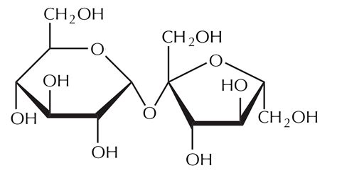 Sugar In Skincare: Why You May Find Sucrose On Your Product’s ...