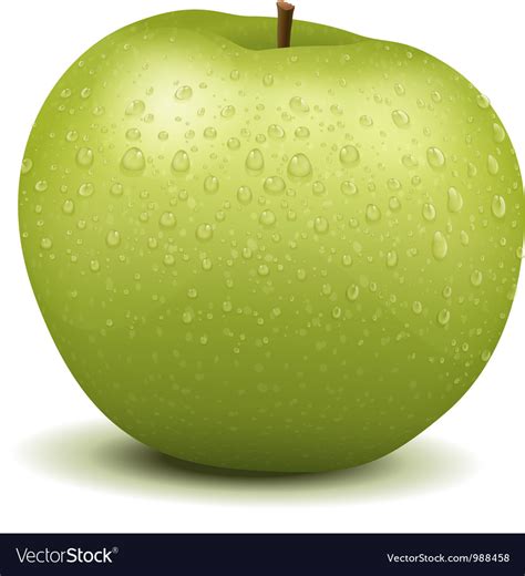 Fresh green apple Royalty Free Vector Image - VectorStock