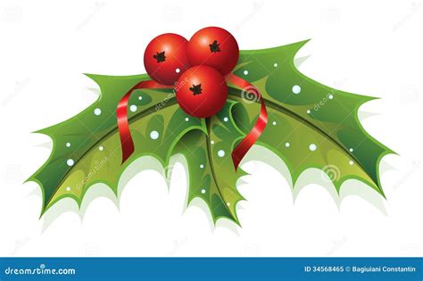 Holly Christmas stock vector. Image of decoration, symbols - 34568465