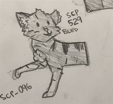 SCP-529 Josie The Half Cat Doodle : SCP