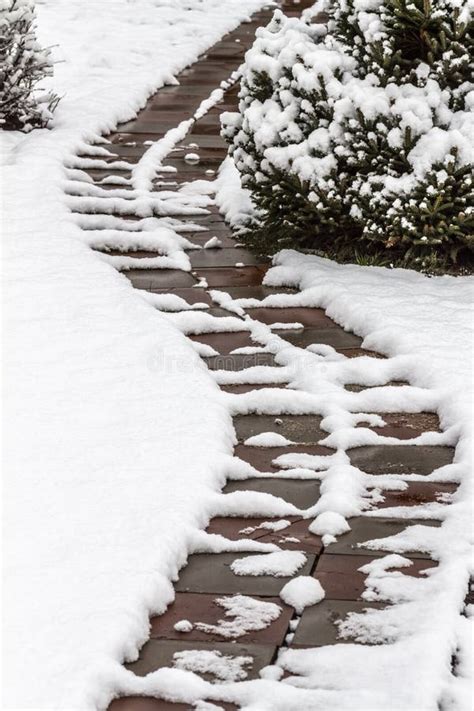 Path in the snow stock photo. Image of seasonal, frosty - 145170688