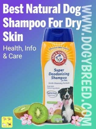 Best Natural Dog Shampoo For Dry Skin