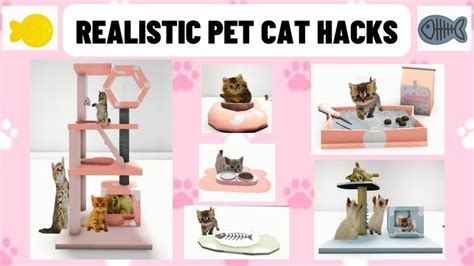 Bloxburg PET CATS/KITTEN *REALISTIC* build HACKS | Cat decal, Blocksburg room ideas , Cat hacks