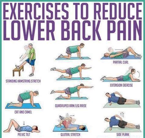 Back Strengthening Exercises: Back Strengthening Exercises Yoga Poses