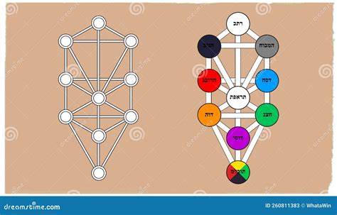 Kabbalah, Sephiroth, Tree of Life Vector Isolated on White Background ...