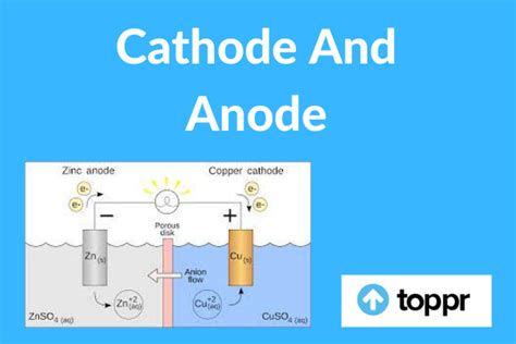 The Relationship Between a Cathode and an Anode Involves