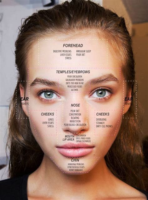 Face Mapping Your Acne - theFashionSpot | Face mapping acne, Beauty skin care, Face acne