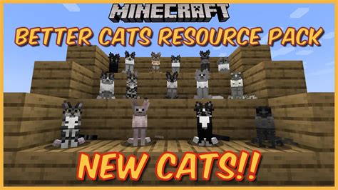 Tải về miễn phí cute cats texture pack cho game Minecraft