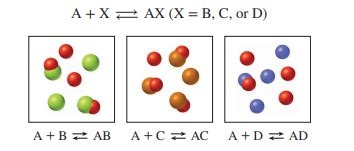 (Solved) - The following diagrams represent the equilibrium state for three... (1 Answer ...