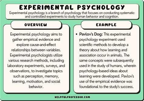 Experimental Psychology: 10 Examples & Definition (2024)