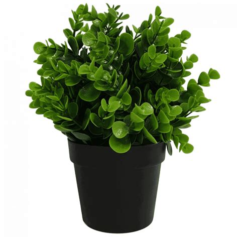 Small Potted Artificial Peperomia Plant UV Resistant 20cm