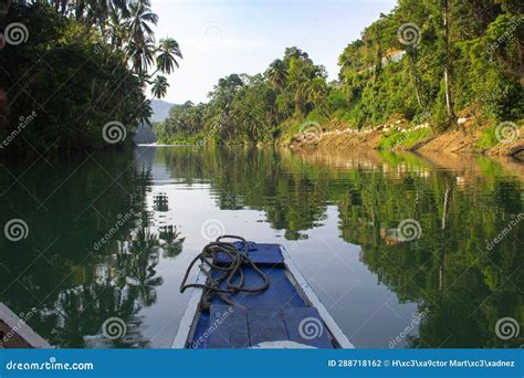 Rainforest River Cruise stock photo. Image of leaf, asia - 288718162