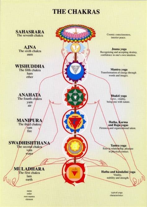 The Main Chakras in the Human Body | Kriya yoga, Chakra yoga, Chakra meditation