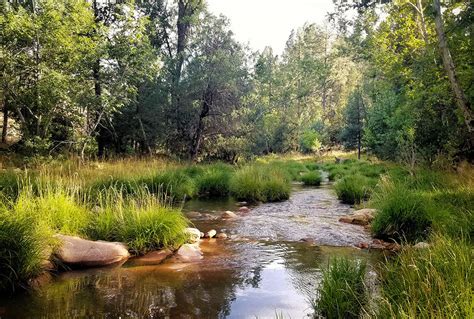 Fishing in Whispering Pines, Payson, Arizona