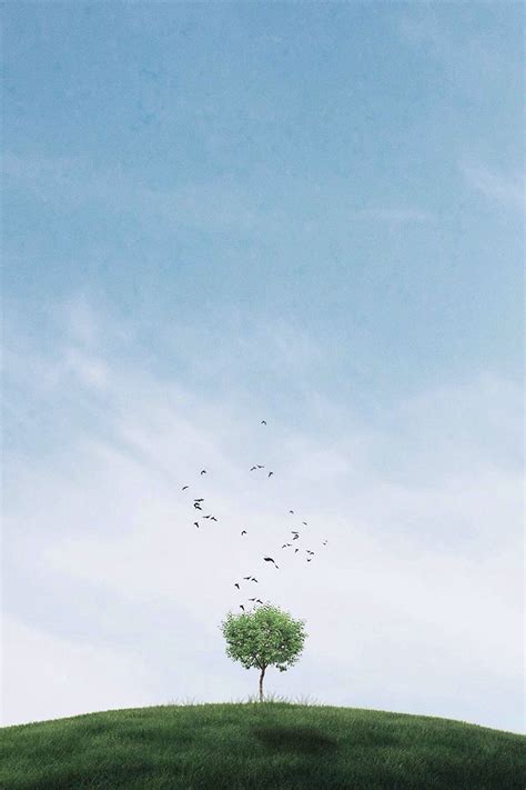 Minimalist Nature Phone Wallpaper : Minimal, sky, nature, horizon ...