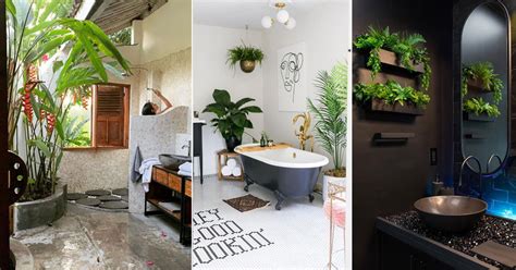 25 Luxurious Tropical Bathroom Design Ideas with Plants