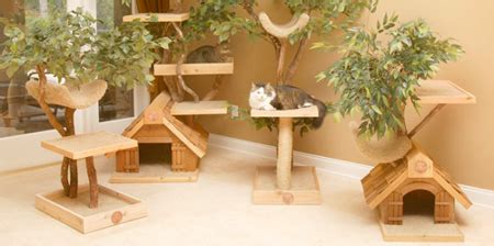 Cat-tree-house