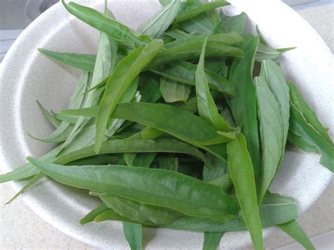 Sabah Snake Grass Soup | Fish Oil Benefits