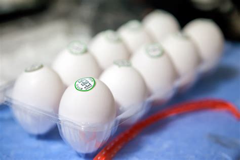 20 egg-cellent egg myths you probably still believe