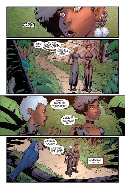 Wakanda #4 Preview - The Comic Book Dispatch