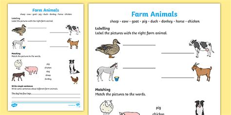 Farm Animals Worksheets for Kids (teacher made) - Twinkl