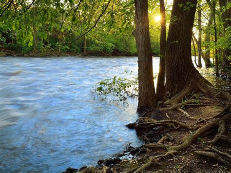 Riverside Sun Photograph by Dylan Lees - Fine Art America