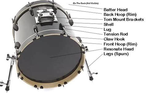 Drum Anatomy: Parts of the Bass Drum & Drum Pedal – Classify Sound