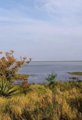 Laguna Atascosa Wildlife Refuge - Go Wandering