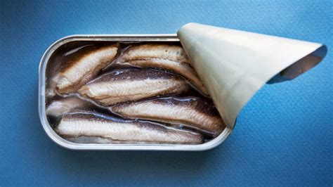 Are sardines good for you? Nutritional benefits and more